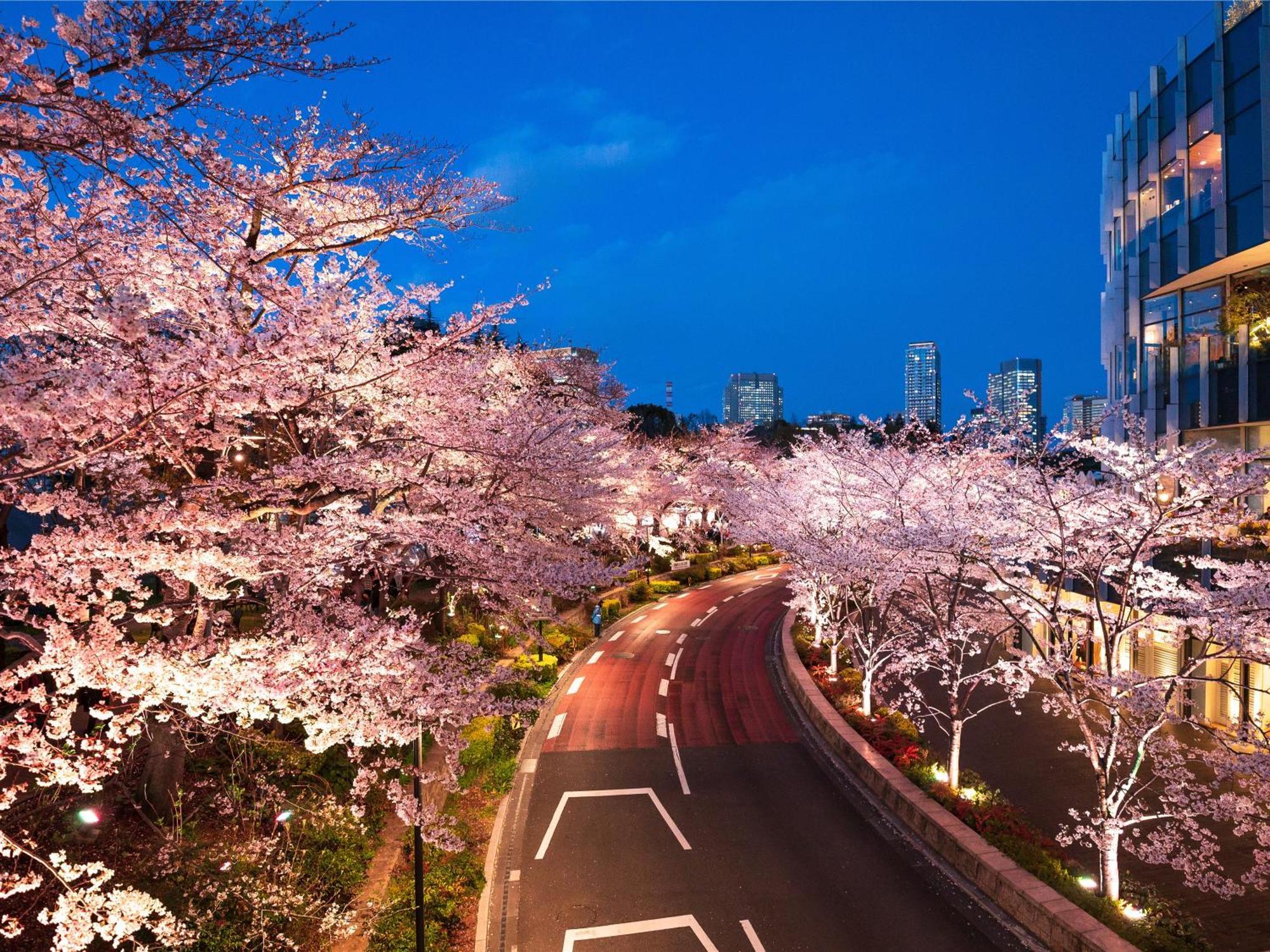 Mimaru Tokyo Akasaka Ξενοδοχείο Εξωτερικό φωτογραφία